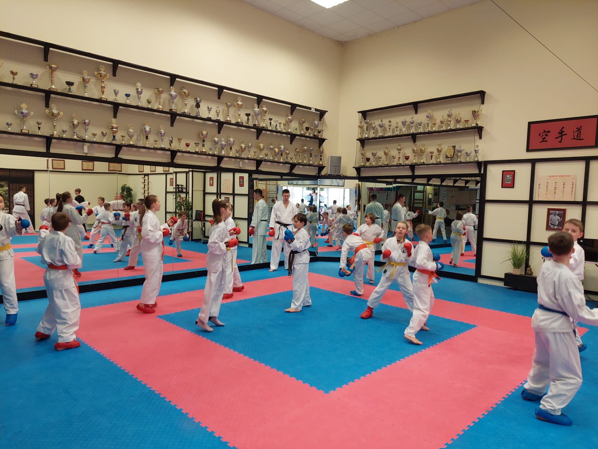Karatelehrgang in Walldürn