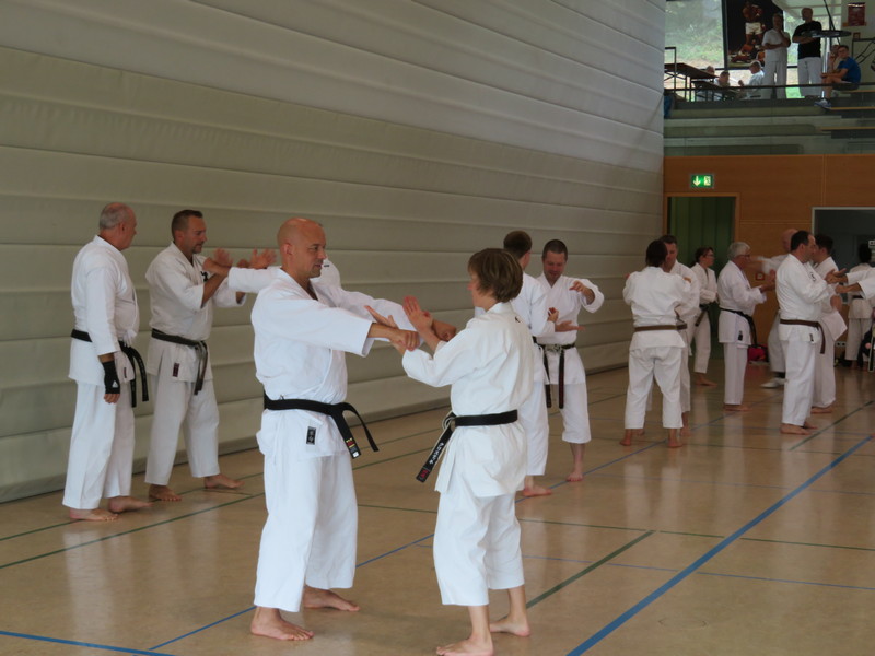 Goju Ryu Tage 2023 in Hardthausen