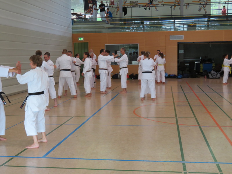 Goju Ryu Tage 2023 in Hardthausen