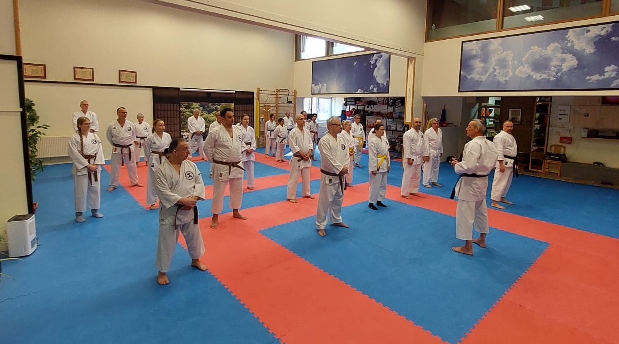  Kata Sonntag bei der Sportkarate Walldürn